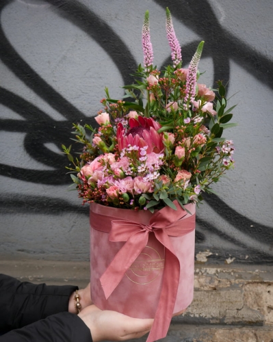 box_protea_w_różu_1.jpg