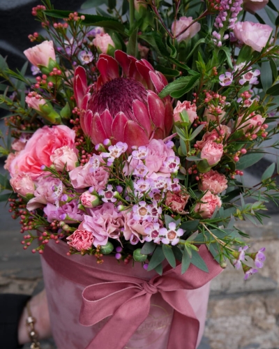 box_protea_w_różu_2.jpg