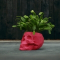 skull-low-poly-76cm-pink-matt.jpg