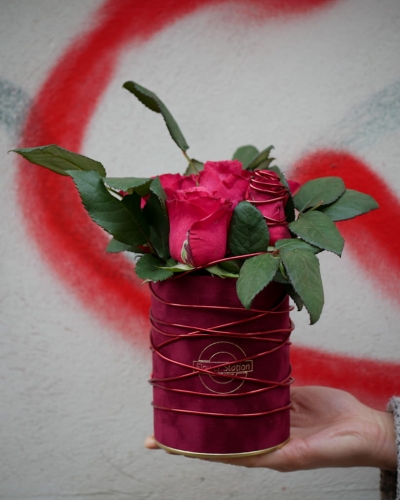 box_róża_w_uścisku_1.jpg