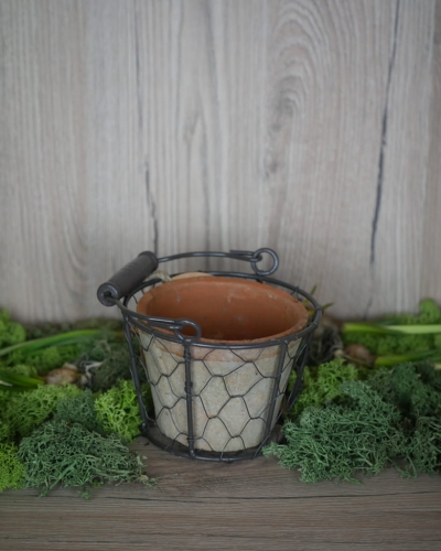 Doniczka w metalowym koszyku_1.jpg