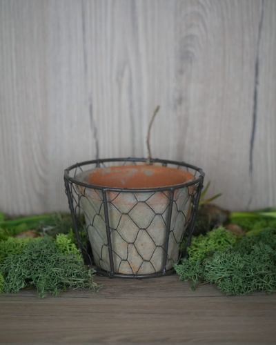 Doniczka w metalowym koszu_2.jpg