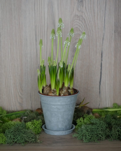 Doniczka metalowa mała_3.jpg