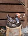 Kura ceramiczna mix_3.jpg