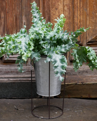 Stojak z doniczką okrągły M_3.jpg