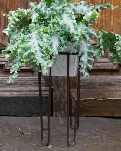 Stojak z doniczką kwadratowy S_2.jpg