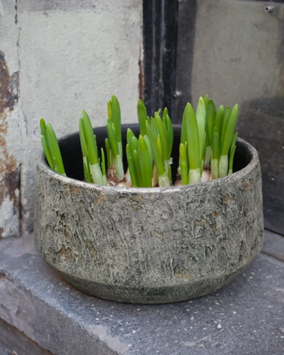 Osłonka misa Dubaj oliwkowa_2.jpg