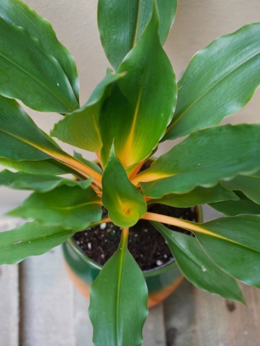 e428d67ac25ddfa2c1a8c6864f884c39