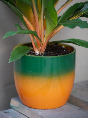 d007c4275448db7ff93b2fc912dc0e31