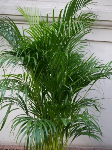 3026292af1c3d65468b1019a3cc771df