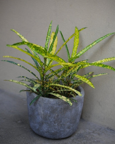 8b2b9efbd1dfdd15f31fc96f080a36e6