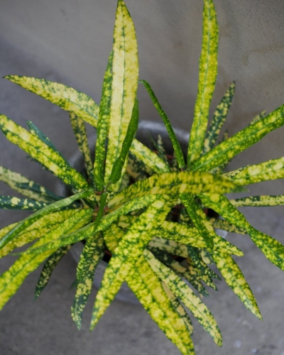 b78cecfdb49158e96b250da5280a848e