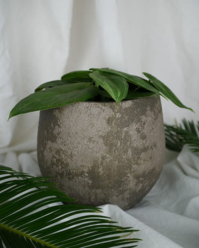 Osłonka Bali 18x16_1.jpg