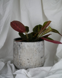 Osłonka Dubai 20x18