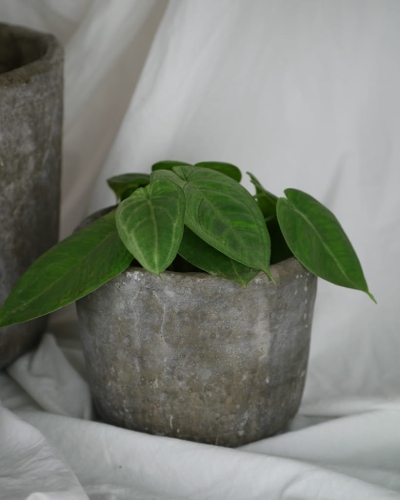 Osłonka Iron 16x14_1.jpg