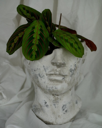 6cdec7b803942676c3abb7b707bccfcb