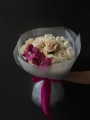 IMG_2575.jpeg