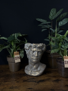 Osłonka Głowa Mężczyzna