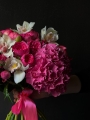 IMG_8550.jpeg