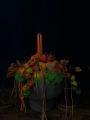 IMG_1132.jpeg