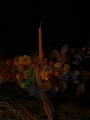 IMG_1138.jpeg